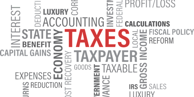 tax-1351881_640 (2)